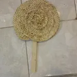 ventaglio palma nana siciliana