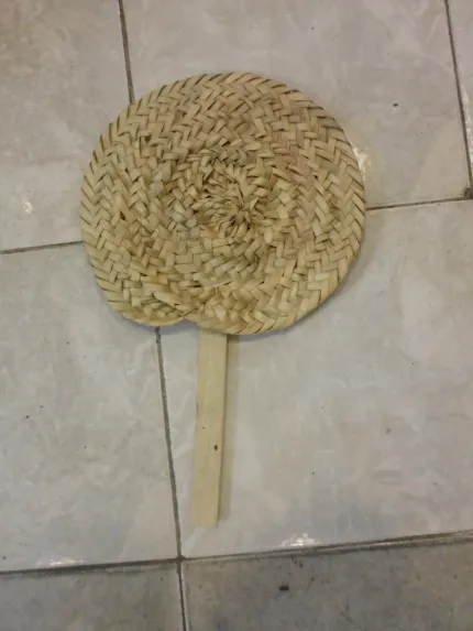 ventaglio palma nana siciliana