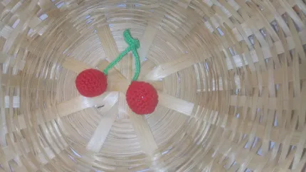 limone lavorato a uncinetto decorazione borsa coffa